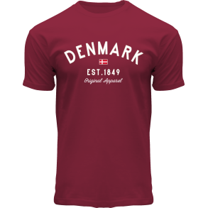 FOX T-shirt ADULT Brassfield Burgundy DK