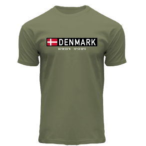 FOX T-shirt ADULT Coordinates Olive DK