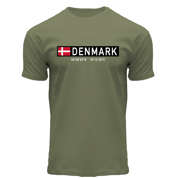 FOX T-shirt ADULT Coordinates Olive DK