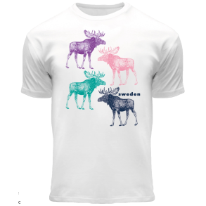 FOX T-shirt KIDS Moose Colors White SE