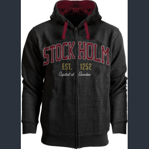 FOX Hoodie Split Applique Antra STO