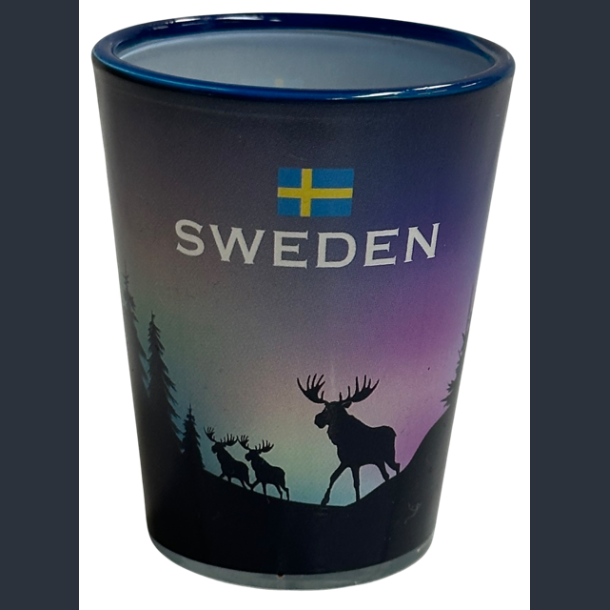 Shotglas SE EST. Northern Lights