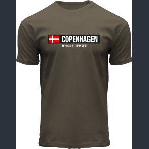 FOX T-Shirt Olive Coordinates CPH