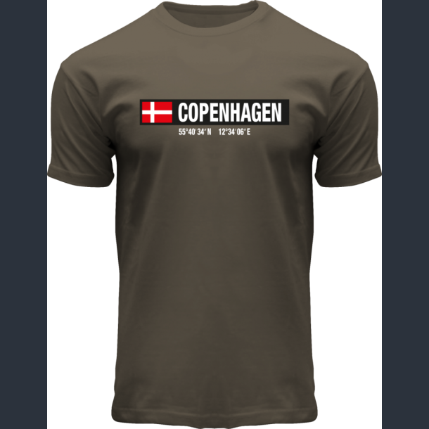 FOX T-Shirt Olive Coordinates CPH