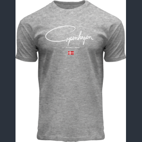 FOX T-Shirt Heather Grey Autograph Flag CPH