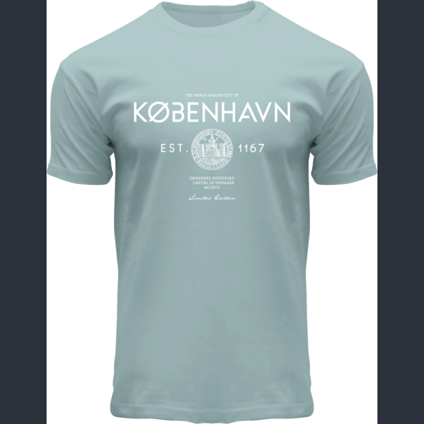FOX T-Shirt Sea Green City Seal CPH