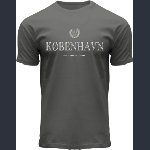 FOX T-Shirt Grey Engraved CPH