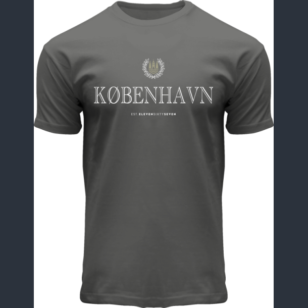 FOX T-Shirt Grey Engraved CPH