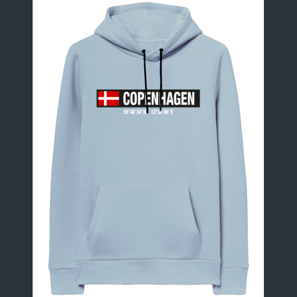 FOX Hoodie Ice Blue Coordinates CPH